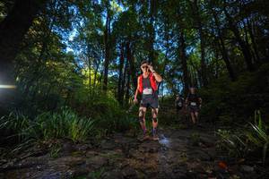 BIB: 
                            <button type="button" onclick="openModal(19232900)" class="btn btn-primary btn-sm float-right btn-popup" data-toggle="modal" data-target=".modal-high-quality">
                        <i class="fas fa-shopping-cart"></i> Add to Cart
                    </button>
                                            <button type="button" onclick="isThisMe(19232900, true)" class="btn btn-success btn-sm float-right btn-popup btn-isme hidden" data-toggle="tooltip" data-placement="bottom" title="นี่คือรูปของคุณใช่ไหม คลิกที่นี่เพื่อเอาเข้าอัลบั้ม">
                        <i class="fas fa-plus"></i> Add to album
                    </button>
                    <button type="button" onclick="isThisMe(19232900, false)" class="btn btn-warning btn-sm float-right btn-popup btn-isnotme hidden">
                        <i class="fas fa-ban"></i> Remove from album
                    </button>